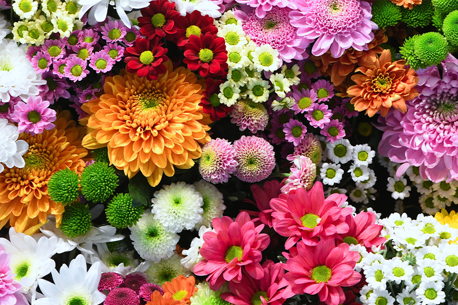 Blumen